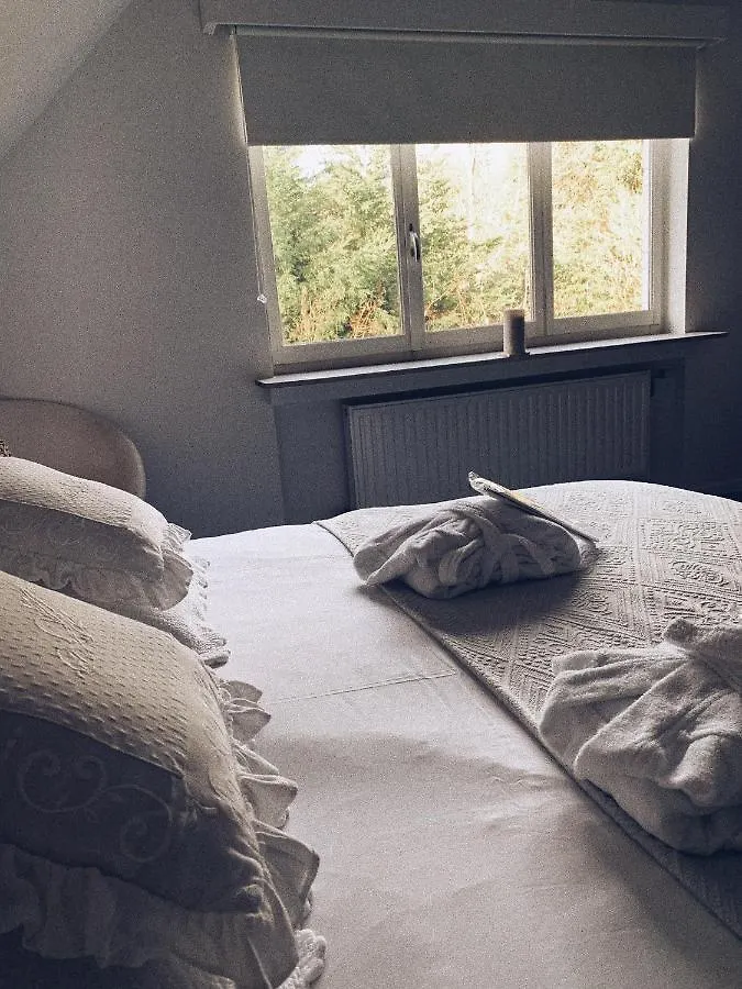 Bed & Breakfast B&B Le 36 Brussels